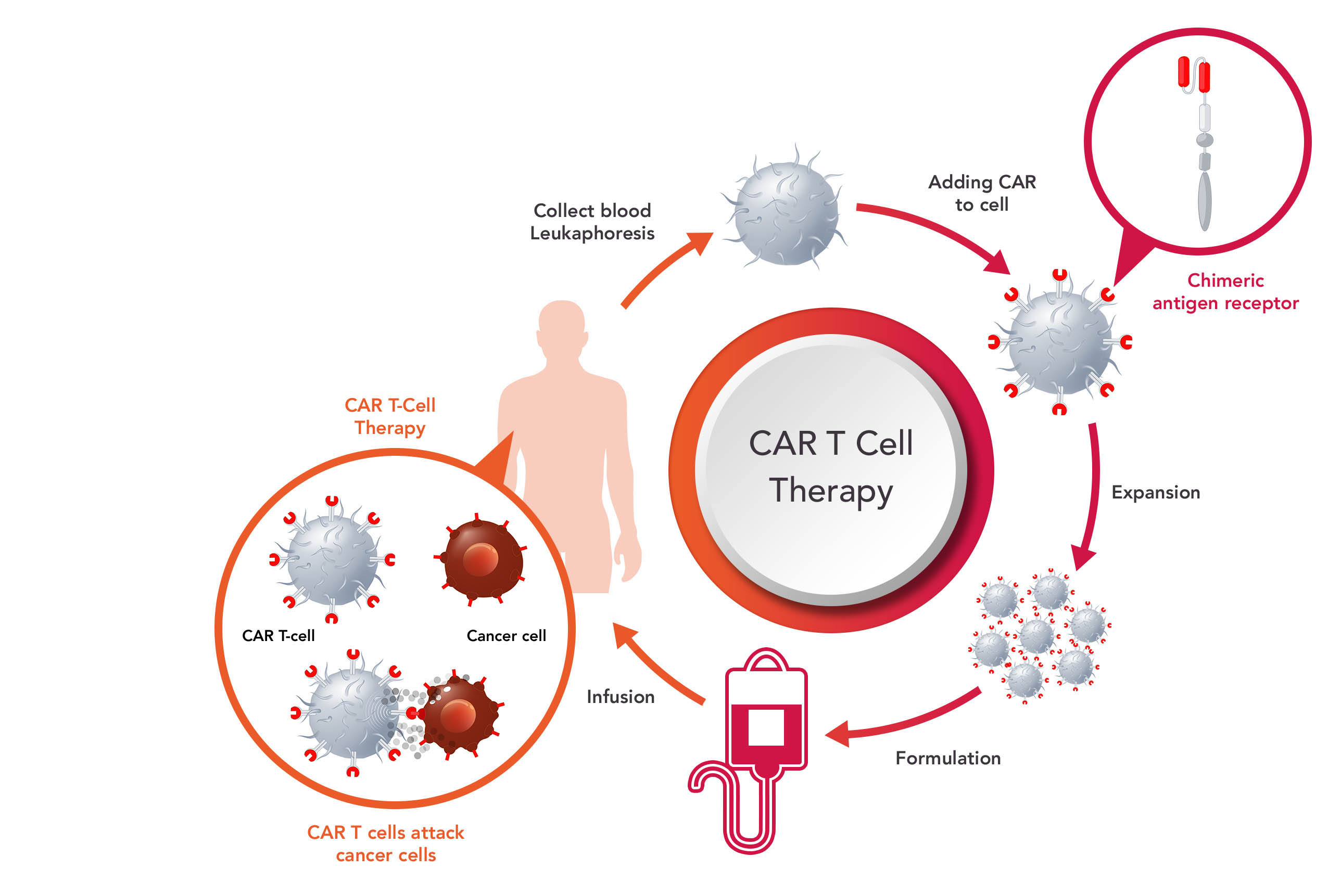 Our Technologies CART, iPSCs, MSCs Xellera Therapeutics